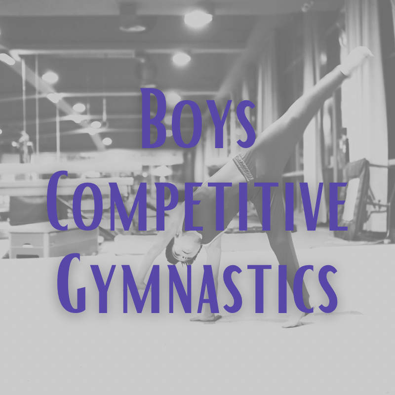 Boys Competitive Gymnastics