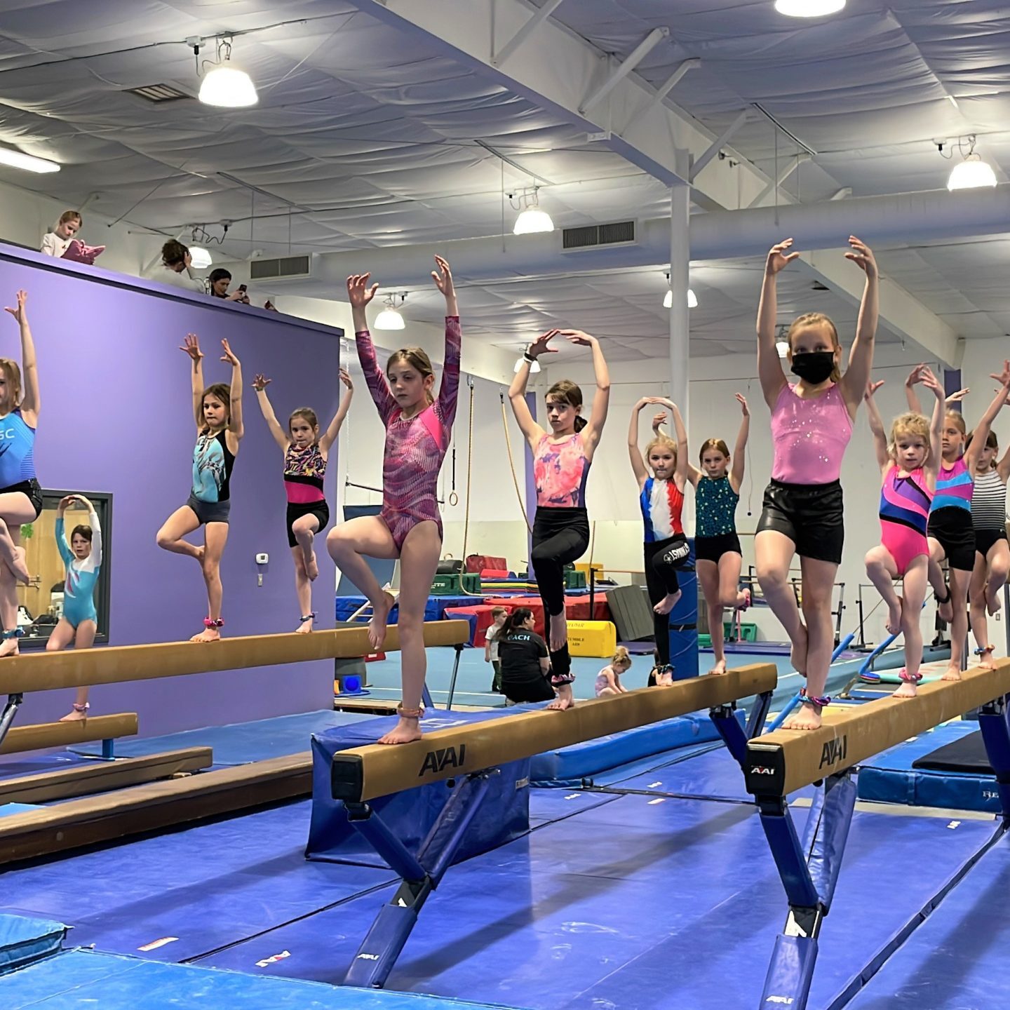 Home - Northfield Gymnastics Club